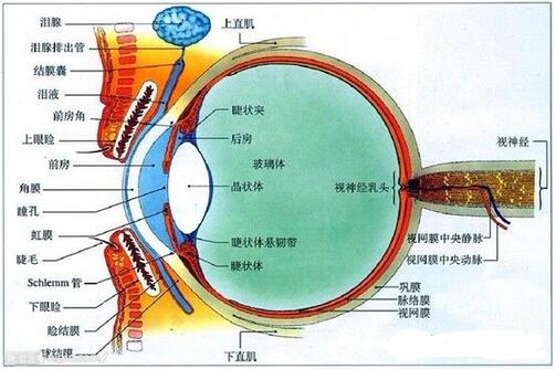 眼睛黃斑病變的癥狀和